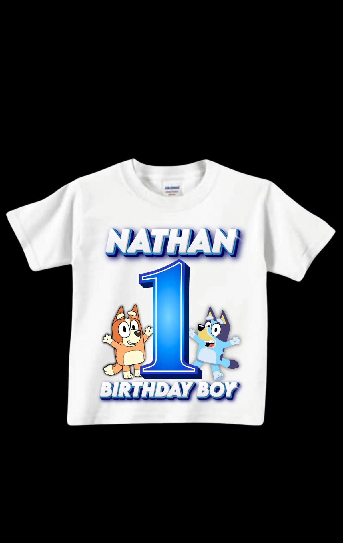 Bluey Birthday Shirt